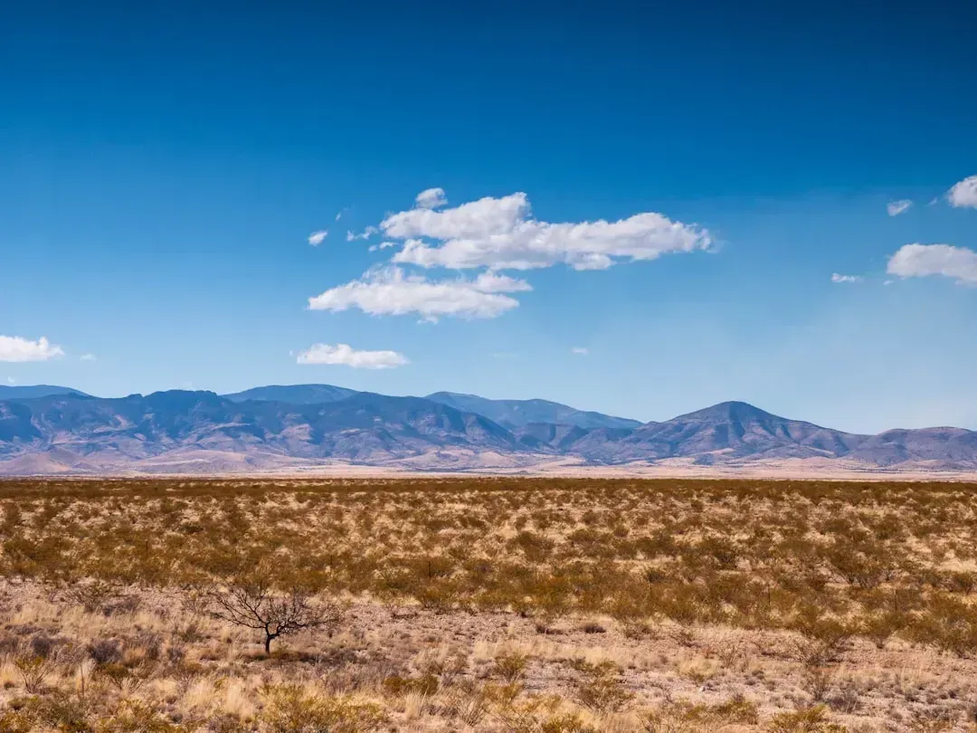 New Mexico (Image Credits: Unsplash)