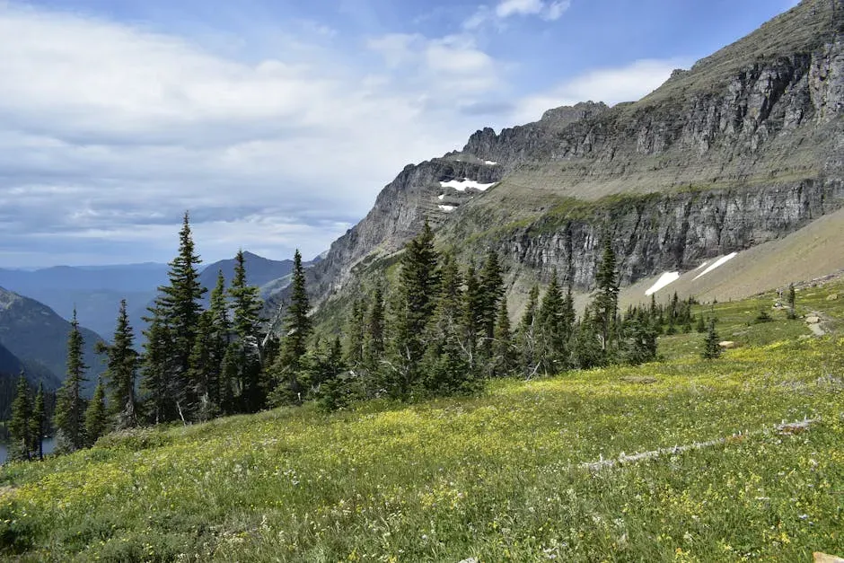 Montana: High Percentages, High Stakes (Image Credits: Pexels)
