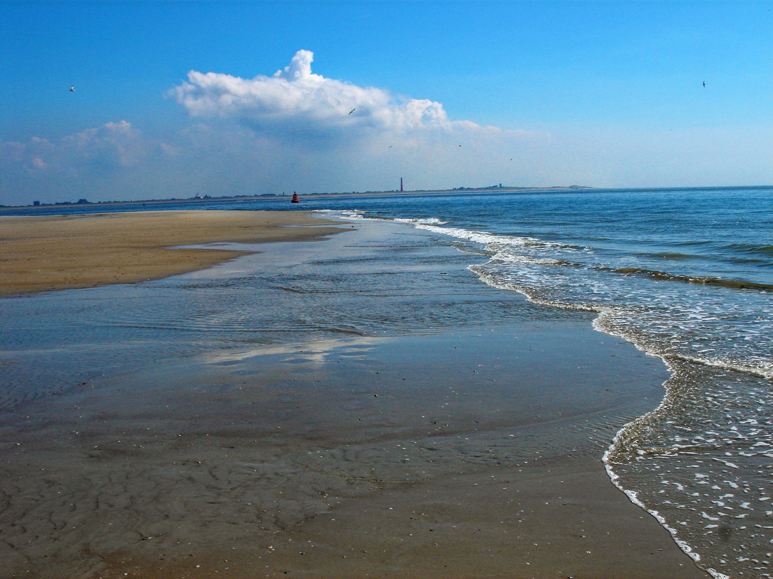 Heat Waves: A Growing Threat Across America (image credits: wikimedia)
