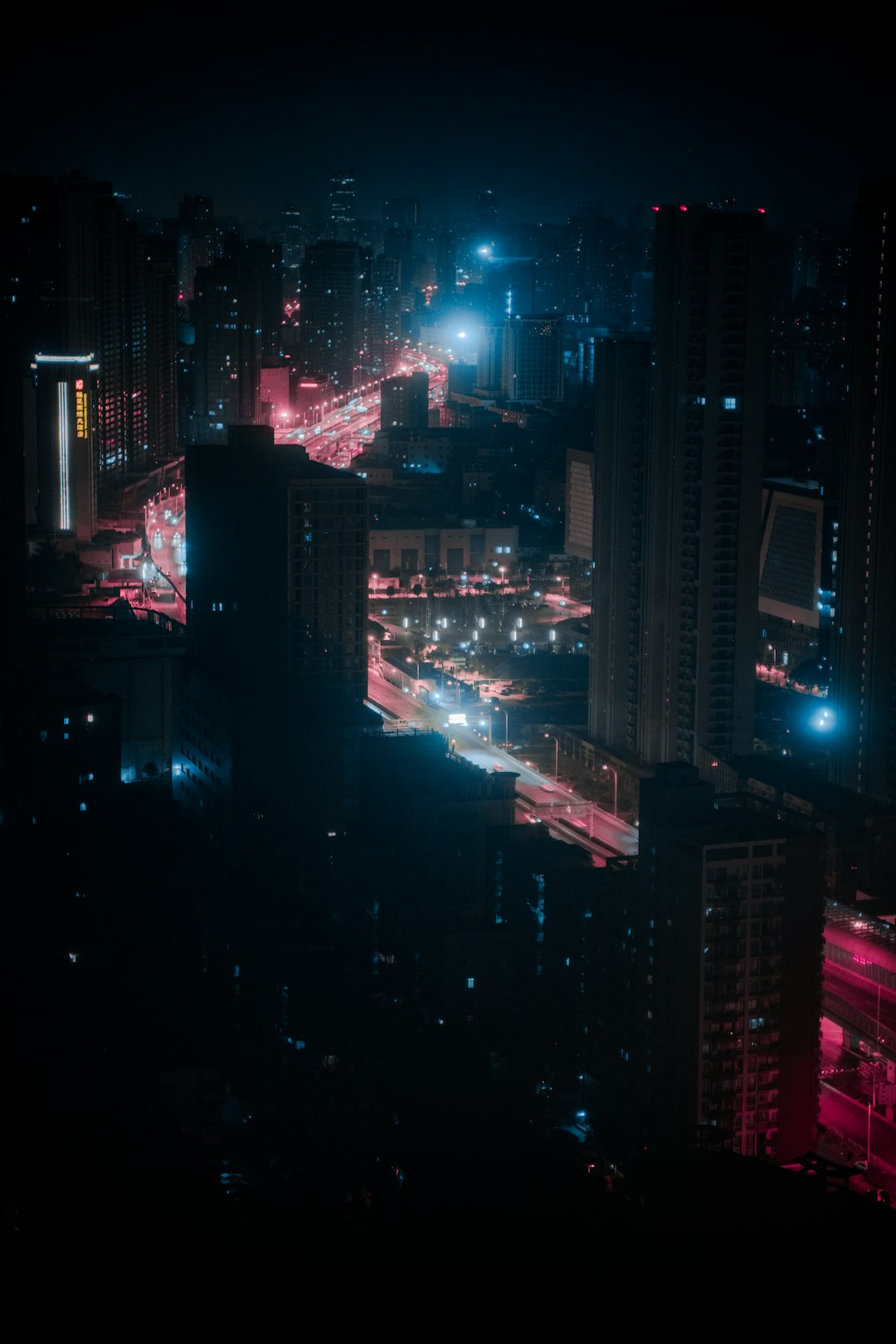 Complex Mating Rituals Adapting to City Life (image credits: unsplash)