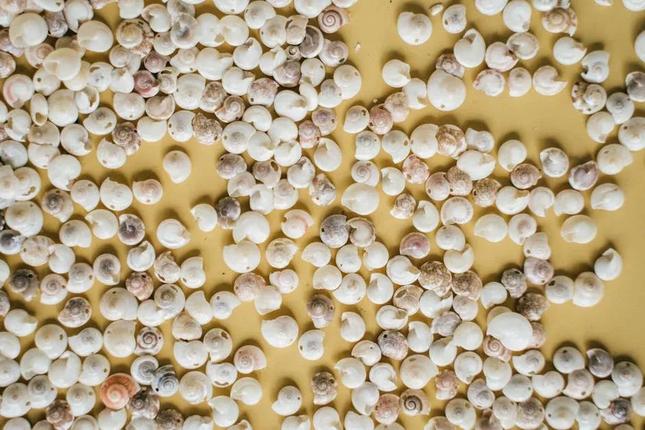 4. Tiny Ocean Creatures Preserve a 500-Million-Year Climate History (Image Credits: Pexels)