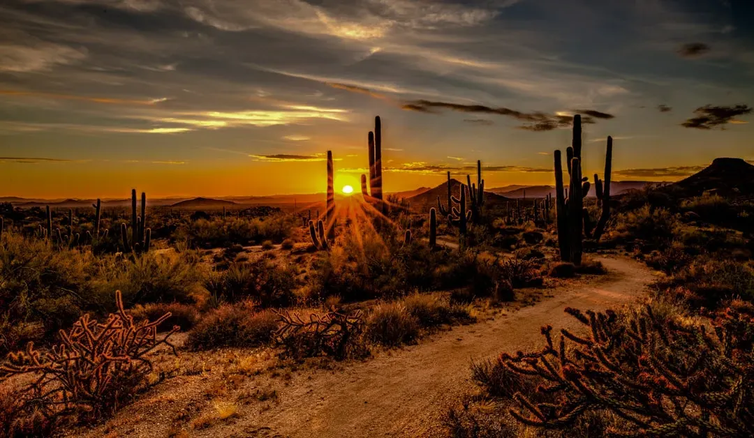 1. Yuma, Arizona (Image Credits: Unsplash)