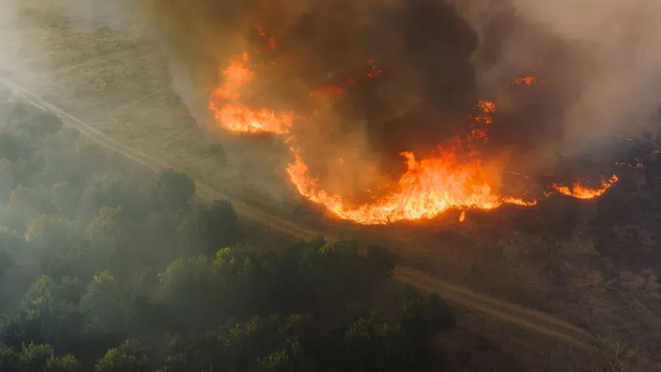 Drought as the Deepest Fuel of All (Image Credits: Pexels)