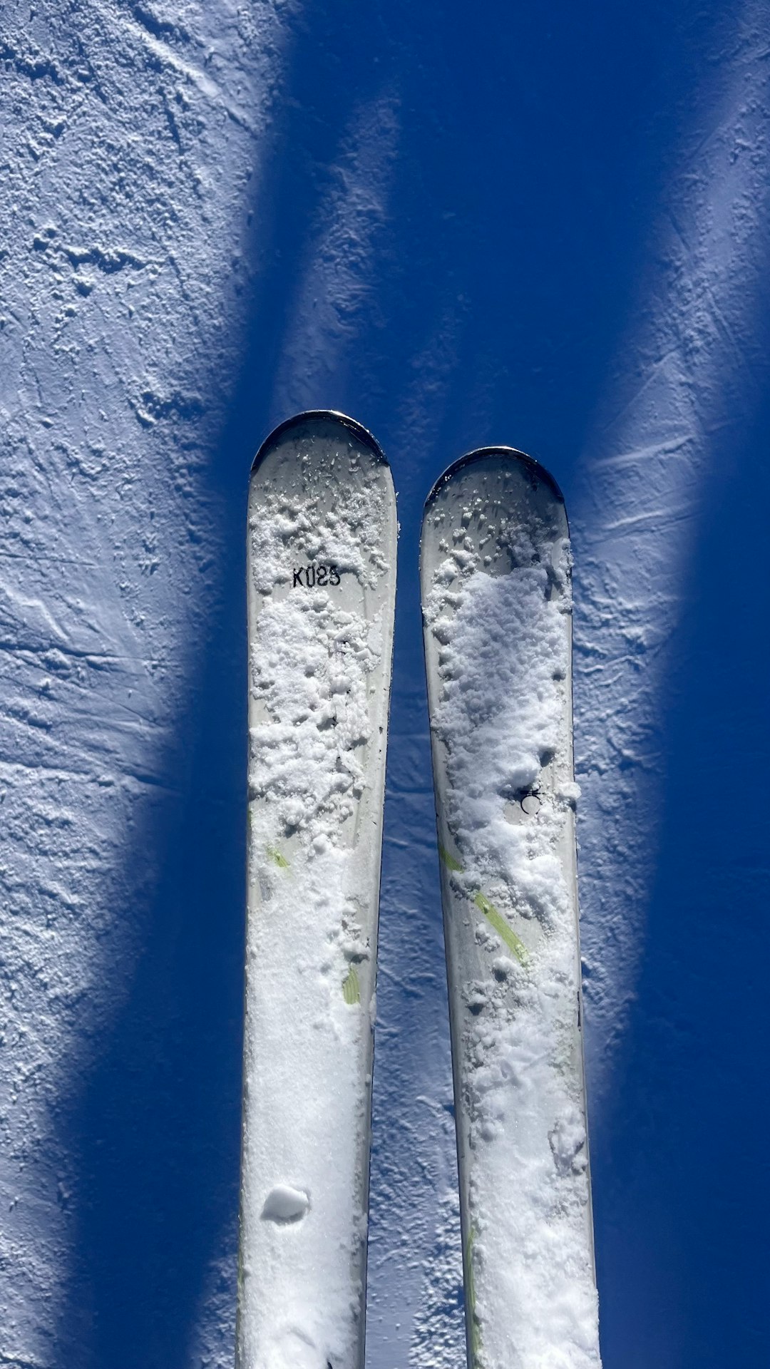 Prehistoric Skis and Ancient Transportation (image credits: unsplash)