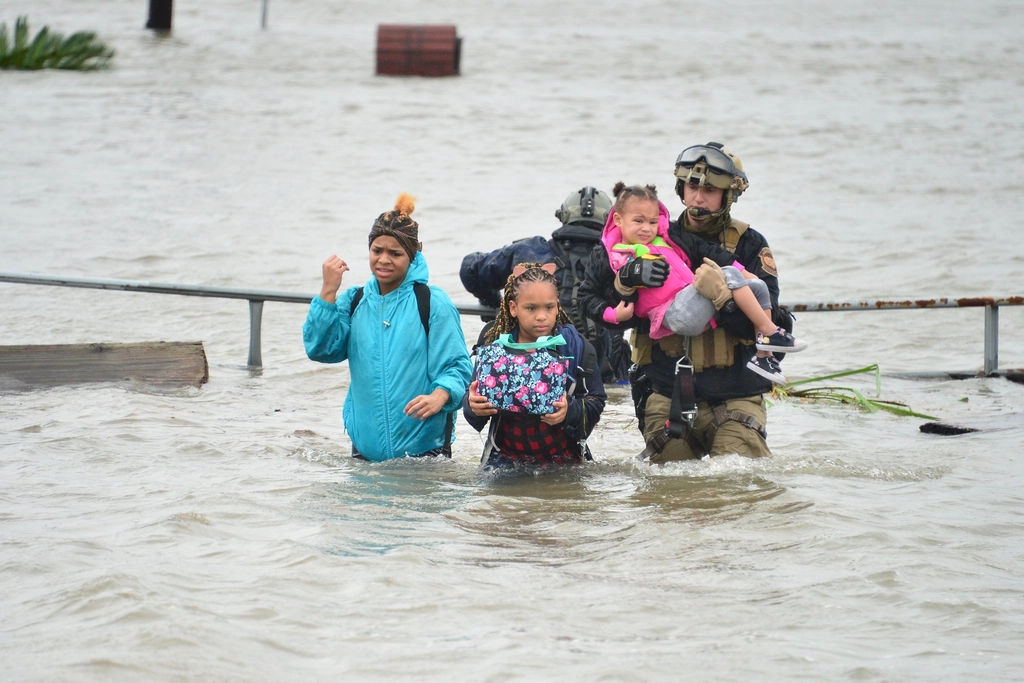 Heroic Rescue Efforts Save Hundreds (image credits: rawpixel)