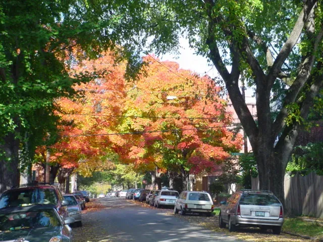 6. Richmond, Virginia (Transferred from en.wikipedia to Commons., CC BY-SA 3.0)
