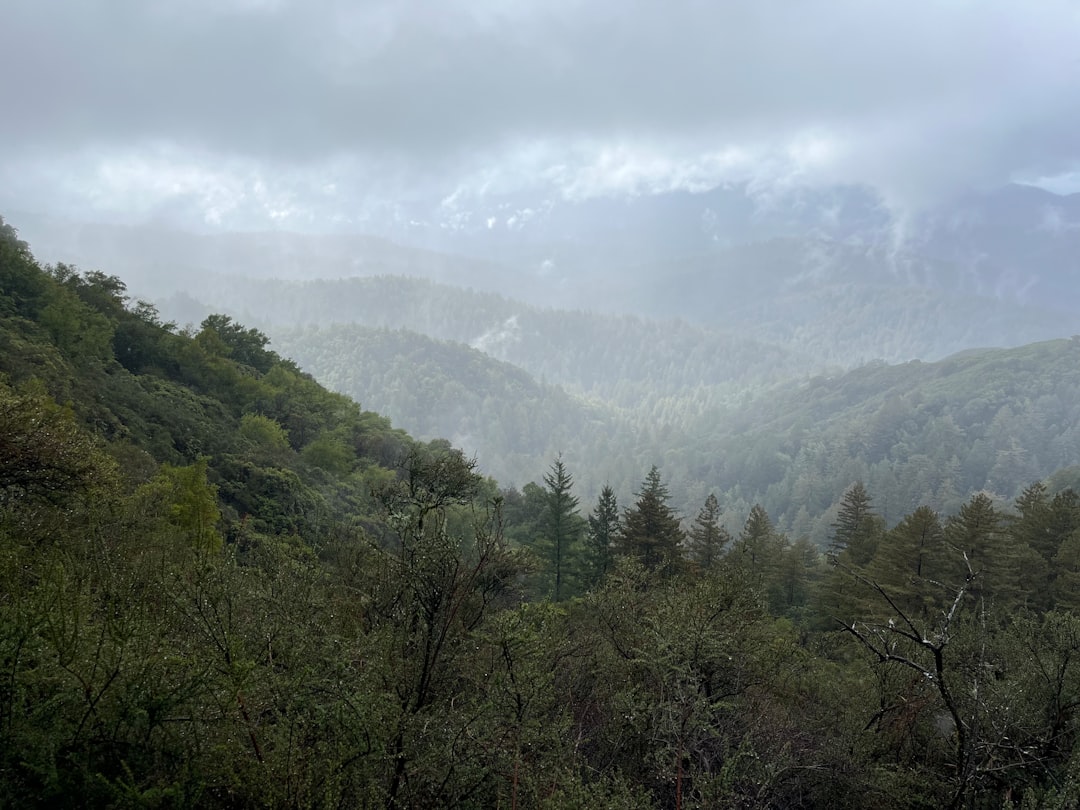 Tennessee - Where Mountain Mist Meets Valley Rain (image credits: unsplash)
