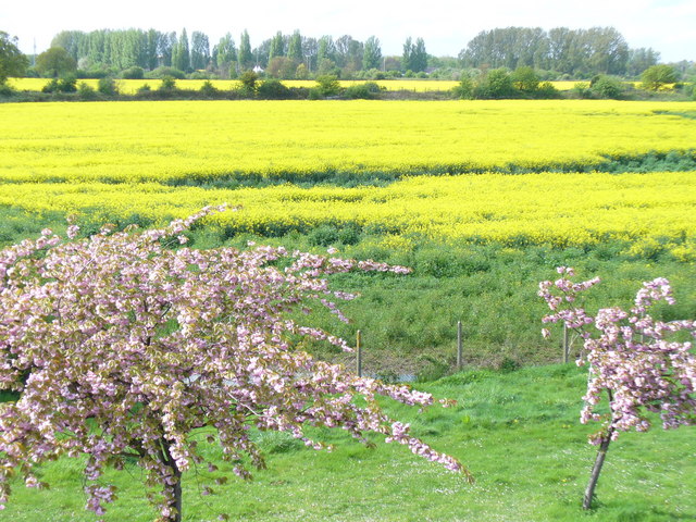 The United Kingdom's Green Belt Battle (image credits: wikimedia)