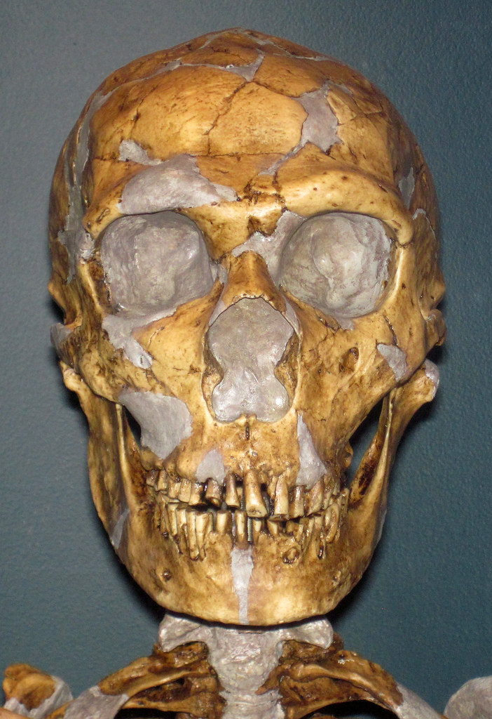 The Homo juluensis Discovery (image credits: flickr)