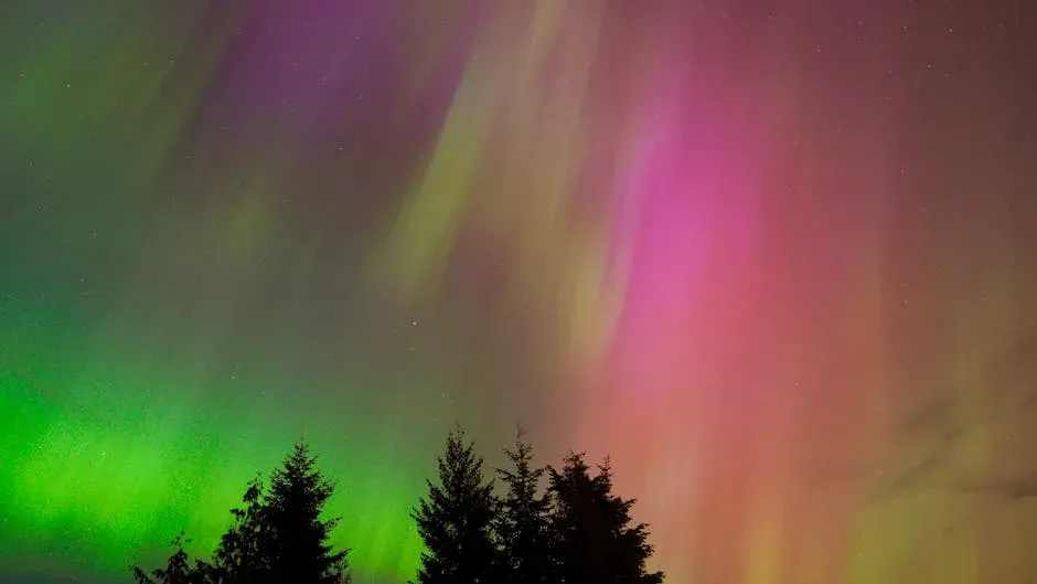 The Colors You're Seeing and What They Mean (Image Credits: Pexels)