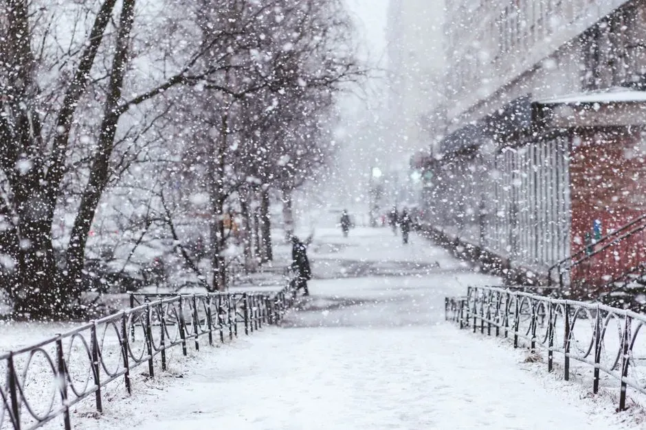 A season that refused to behave normally (Image Credits: Pexels)