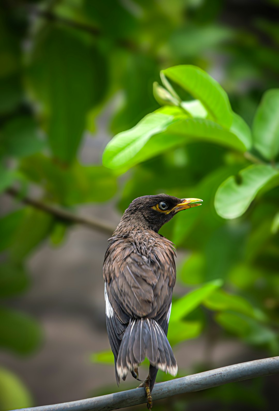 Reading Nature's Secret Messages (image credits: unsplash)