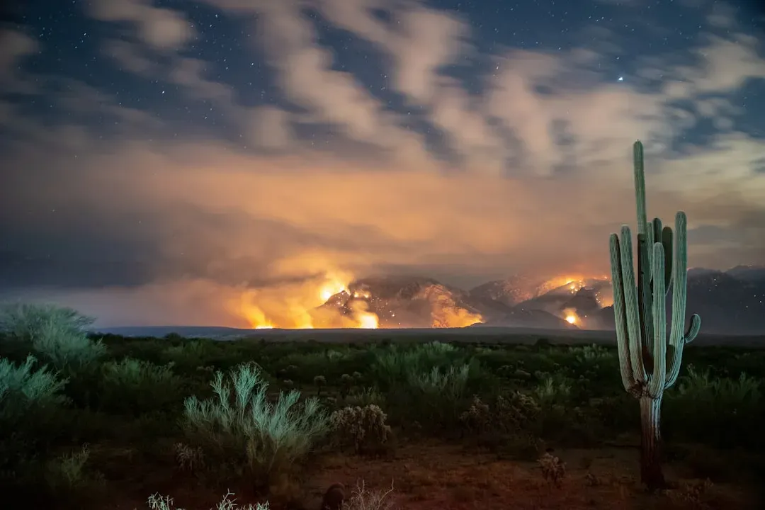 9. Arizona (Image Credits: Unsplash)