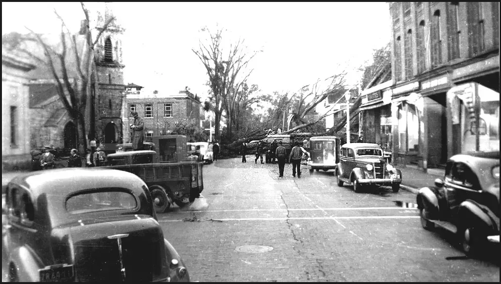 3. The Great New England Hurricane of 1938 (Hurricane and Flood of 1938, Keene NH - Tree Damage, No restrictions)