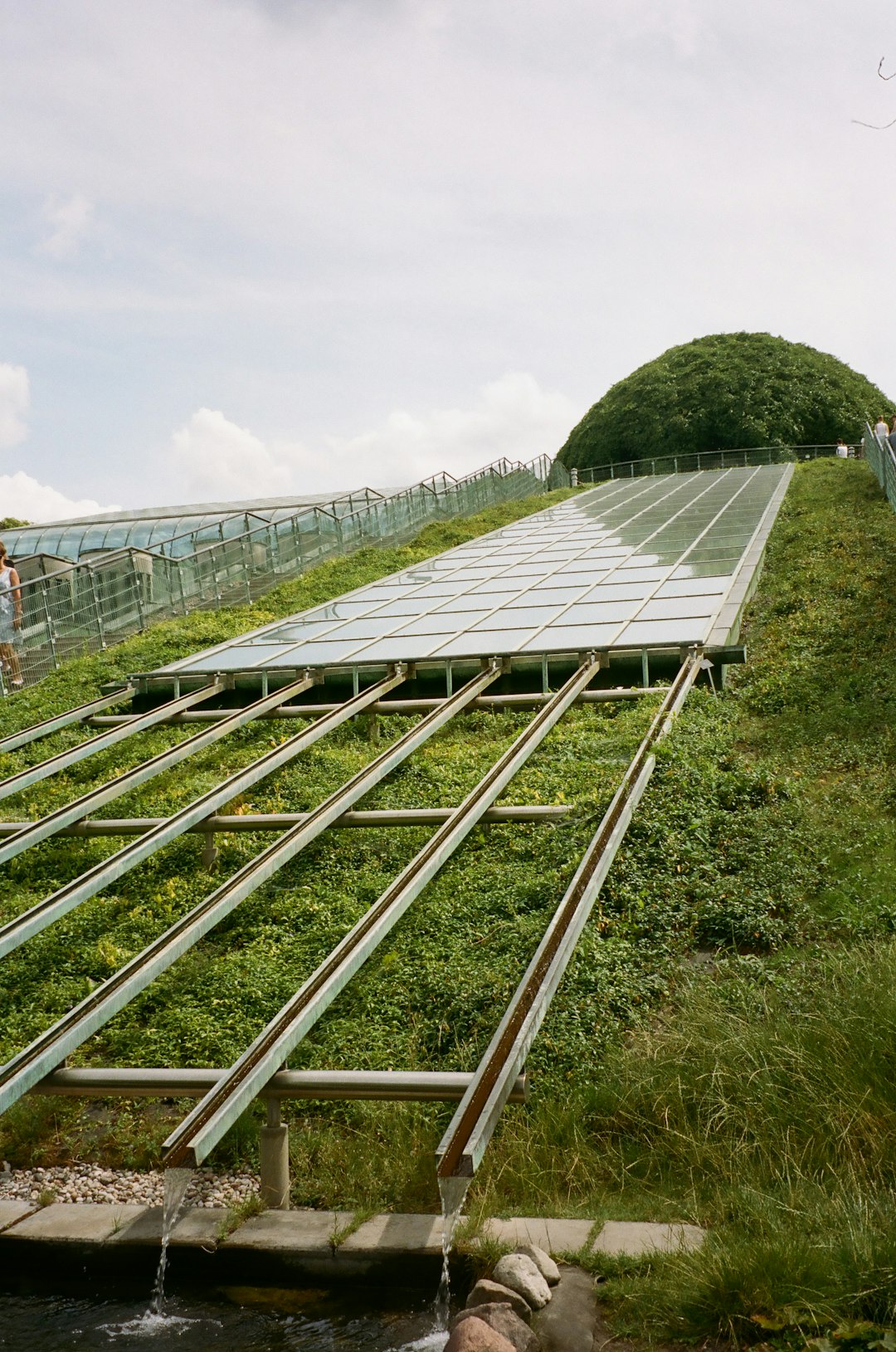 Vegetation and Ecosystem Effects from Climate Modifications (image credits: unsplash)