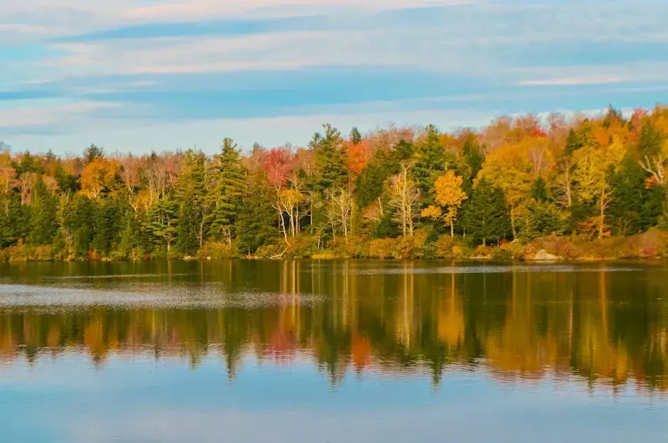 Vermont and the Northeast: Quiet Stability in Higher Elevations (Image Credits: Pexels)