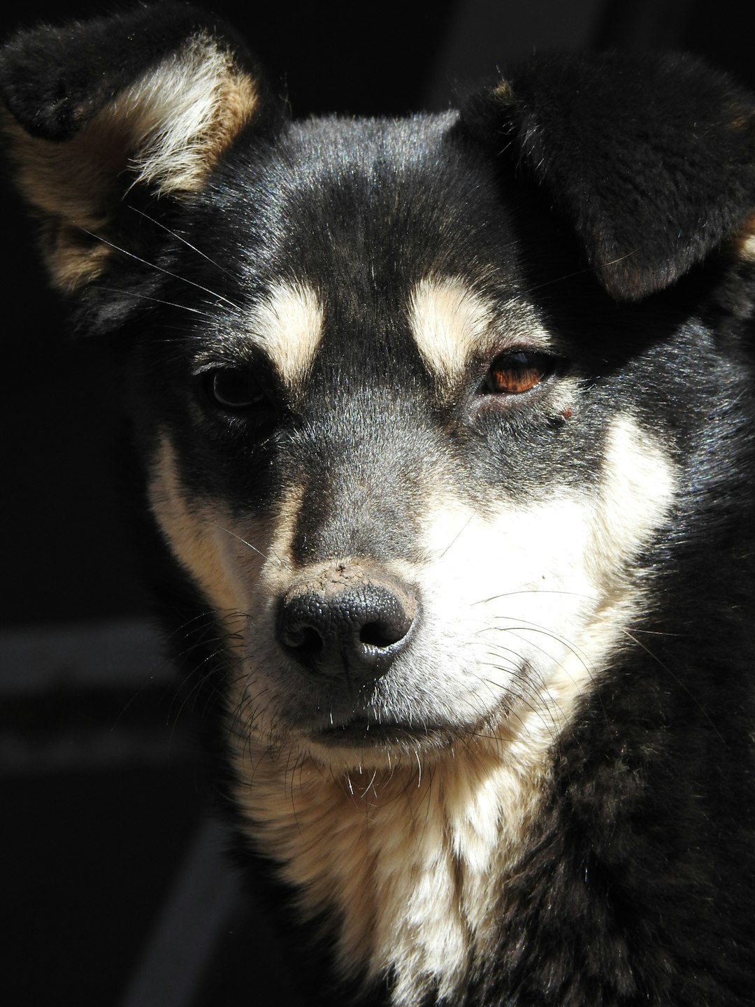 Neighbors and Shelters Are Lifelines (image credits: unsplash)