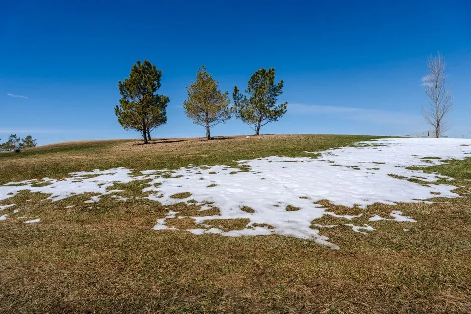 Spring and Early Summer Are Where the Losses Concentrate (Image Credits: Pexels)