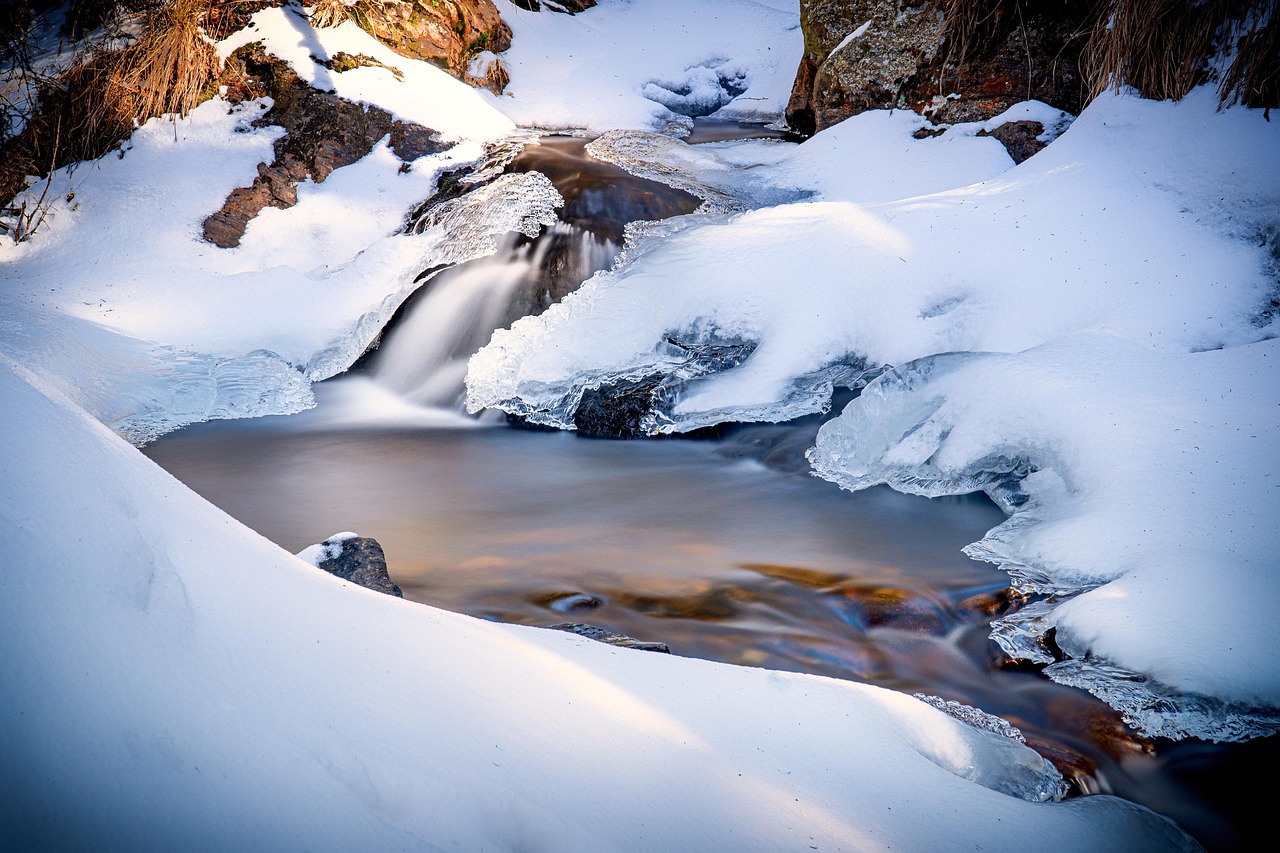 Ice Ages and Magnetic Reversals: A Hidden Connection (image credits: pixabay)