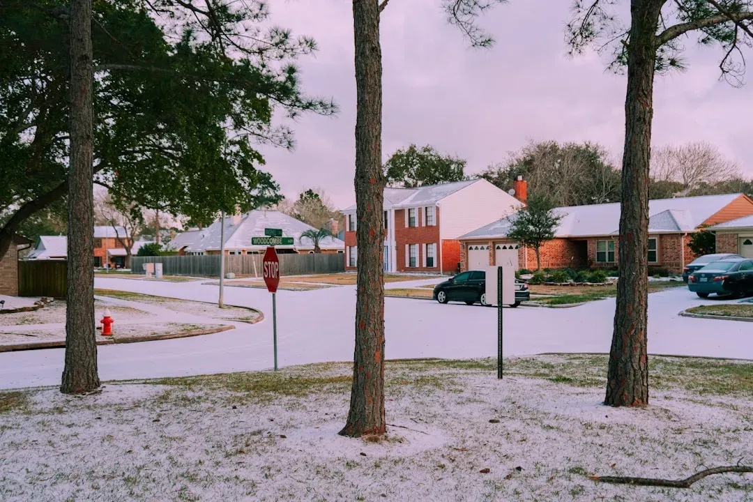 Recent Polar Vortex Outbreaks in the United States (Image Credits: Unsplash)
