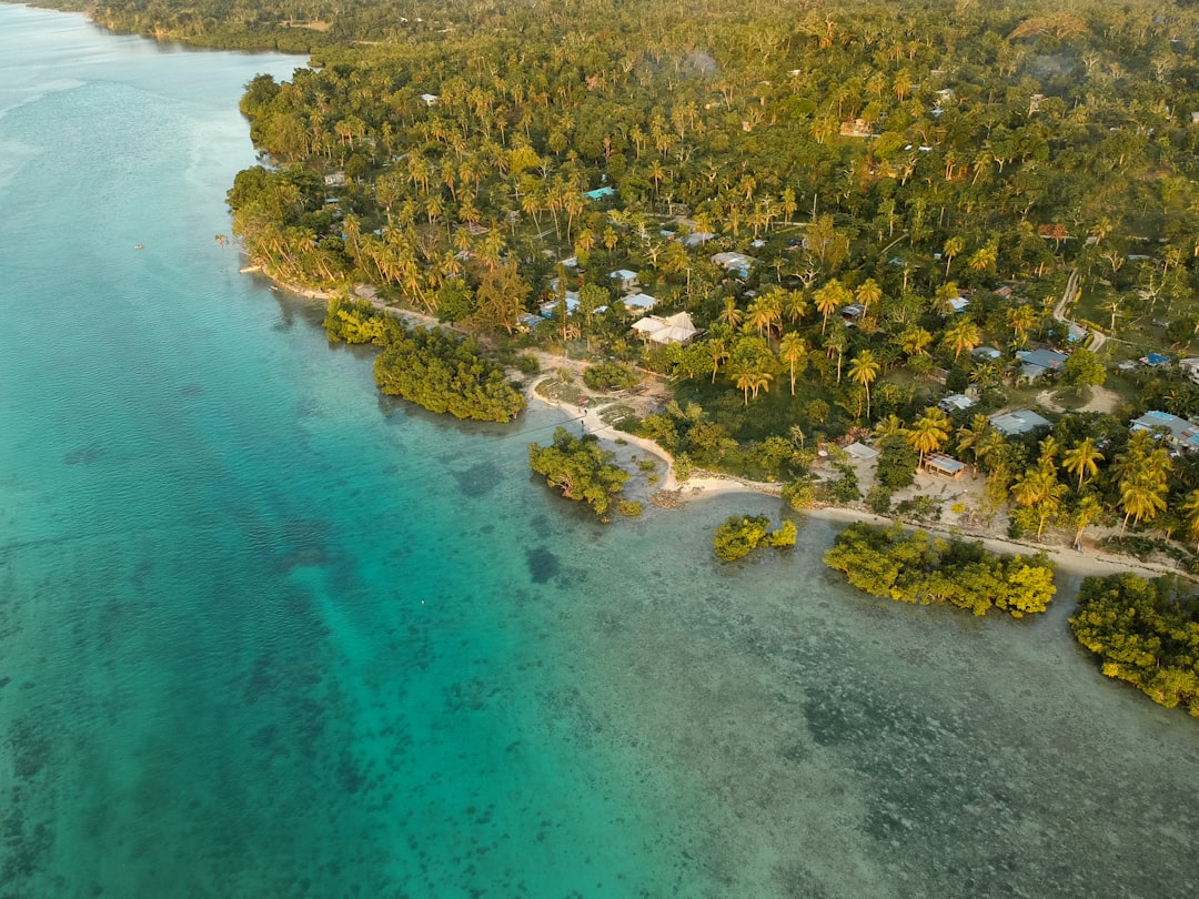 Vanuatu's David vs Goliath Battle (image credits: unsplash)