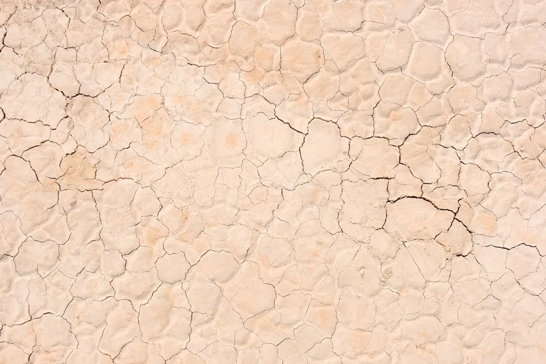 Compound Drought-Heatwave Events Have Surged Nearly Eightfold (Image Credits: Unsplash)