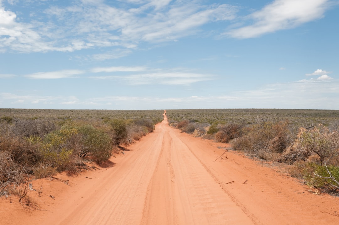 Desert Tremors in Western Australia (image credits: unsplash)