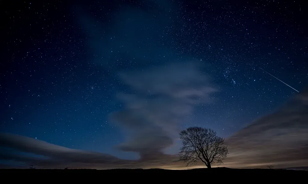 The bottom line for anyone who loves looking up (Image Credits: Rawpixel)