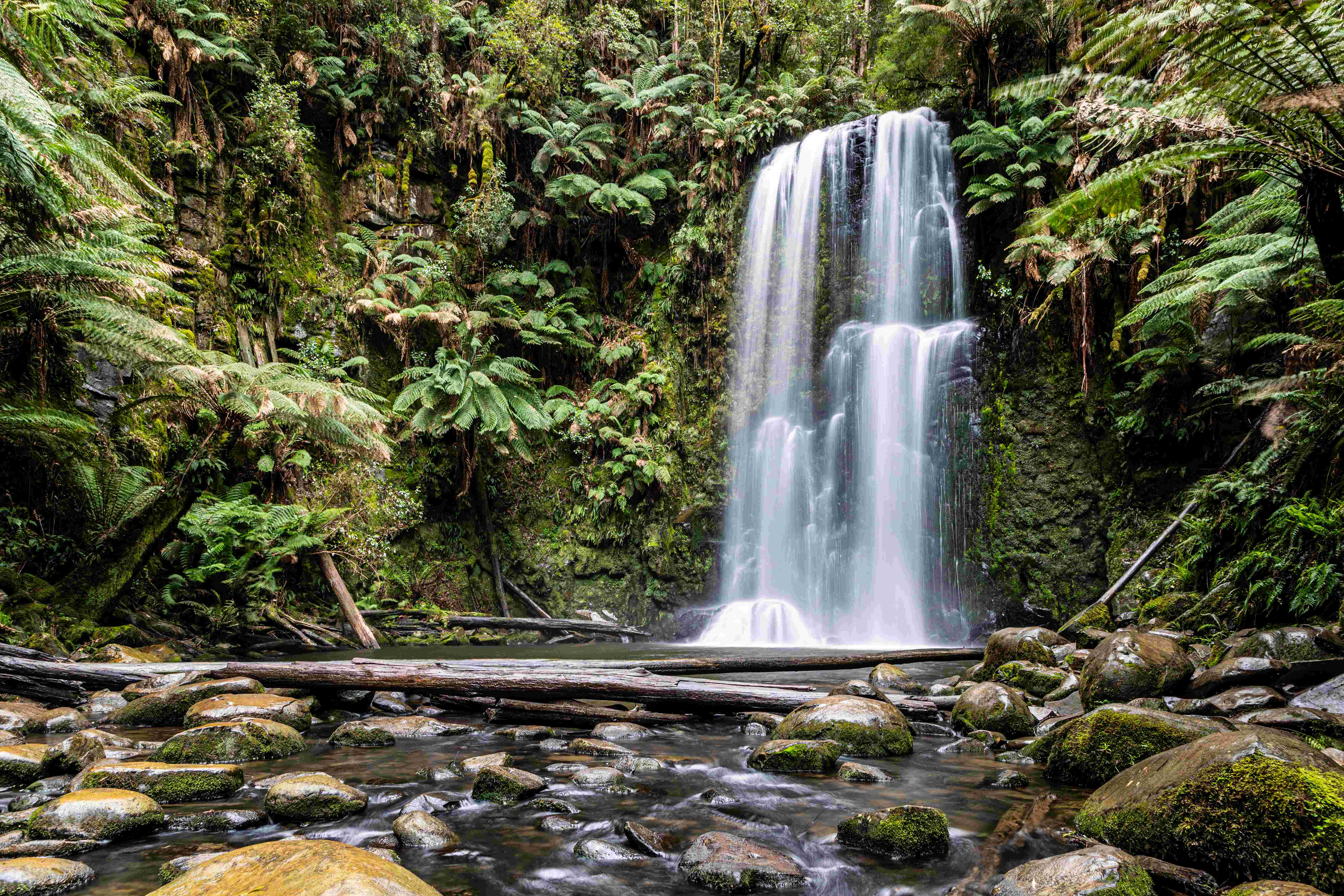 Australia: Innovative Approaches to Forestry (image credits: wikimedia)