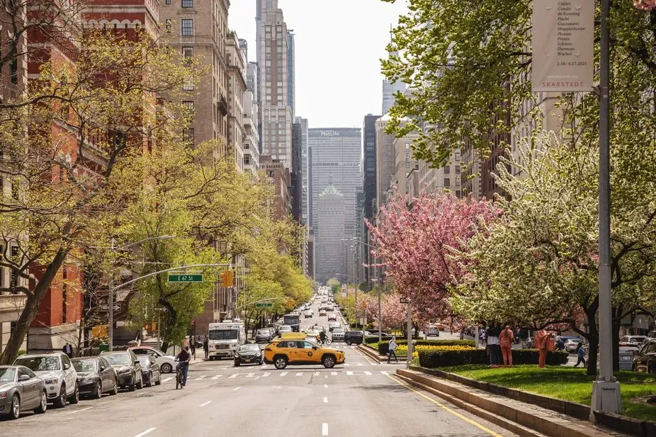 5. New York (Image Credits: Pexels)