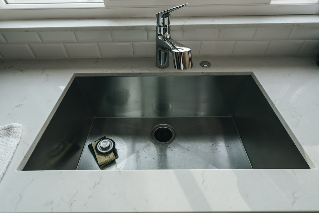 Future-Proofing Your Home's Water Systems (image credits: unsplash)