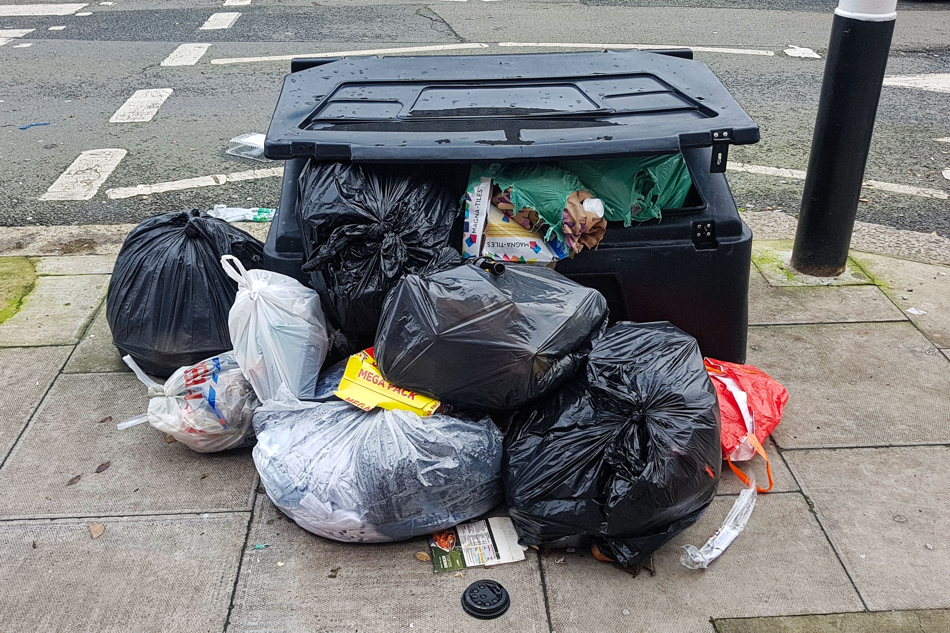 Too Many Bags, Not Enough Uses (image credits: wikimedia)