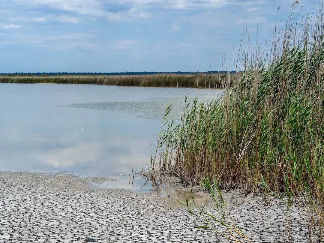 Watersheds under formal drought response (Image Credits: Unsplash)