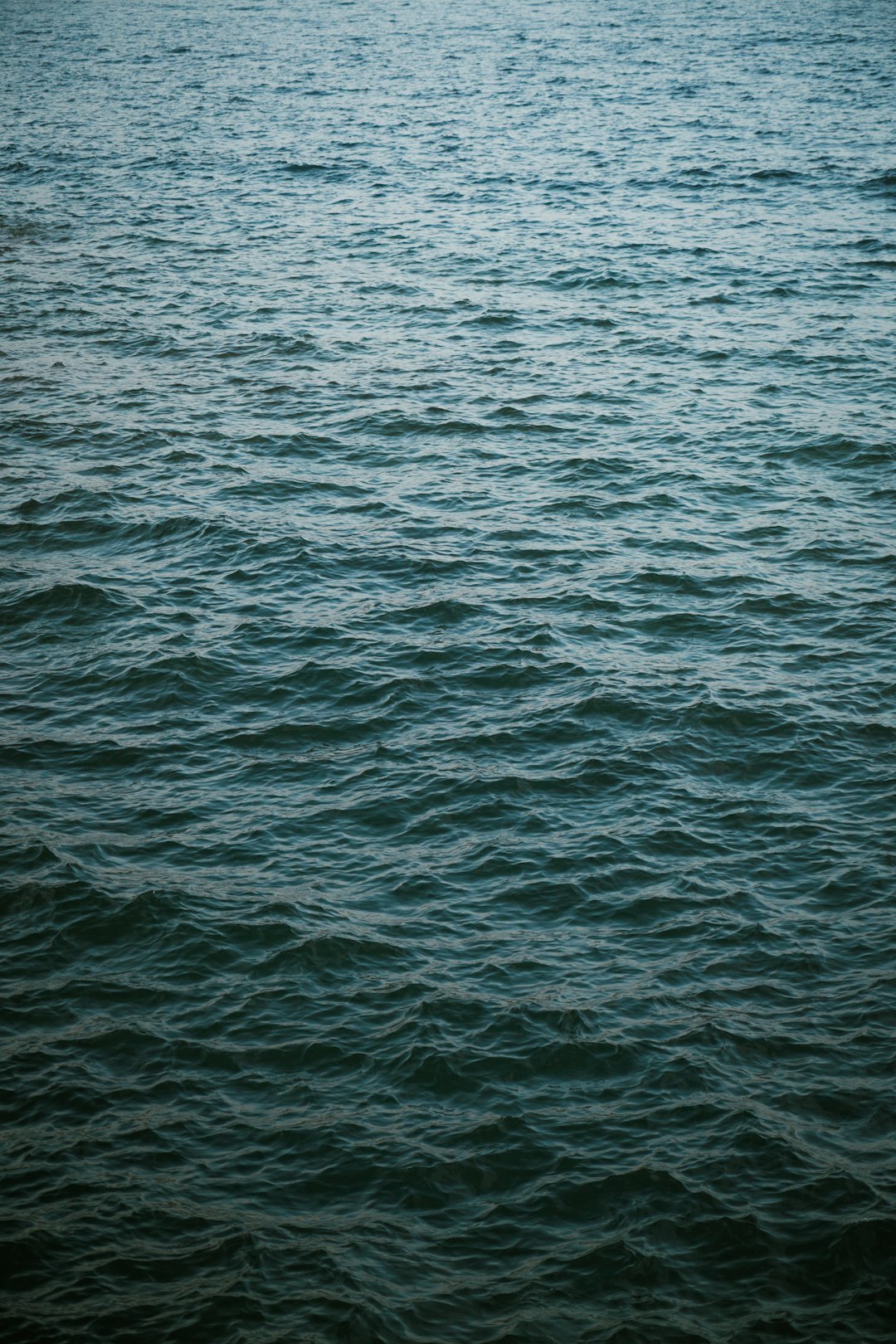 Open Waters, Rough Seas (image credits: unsplash)