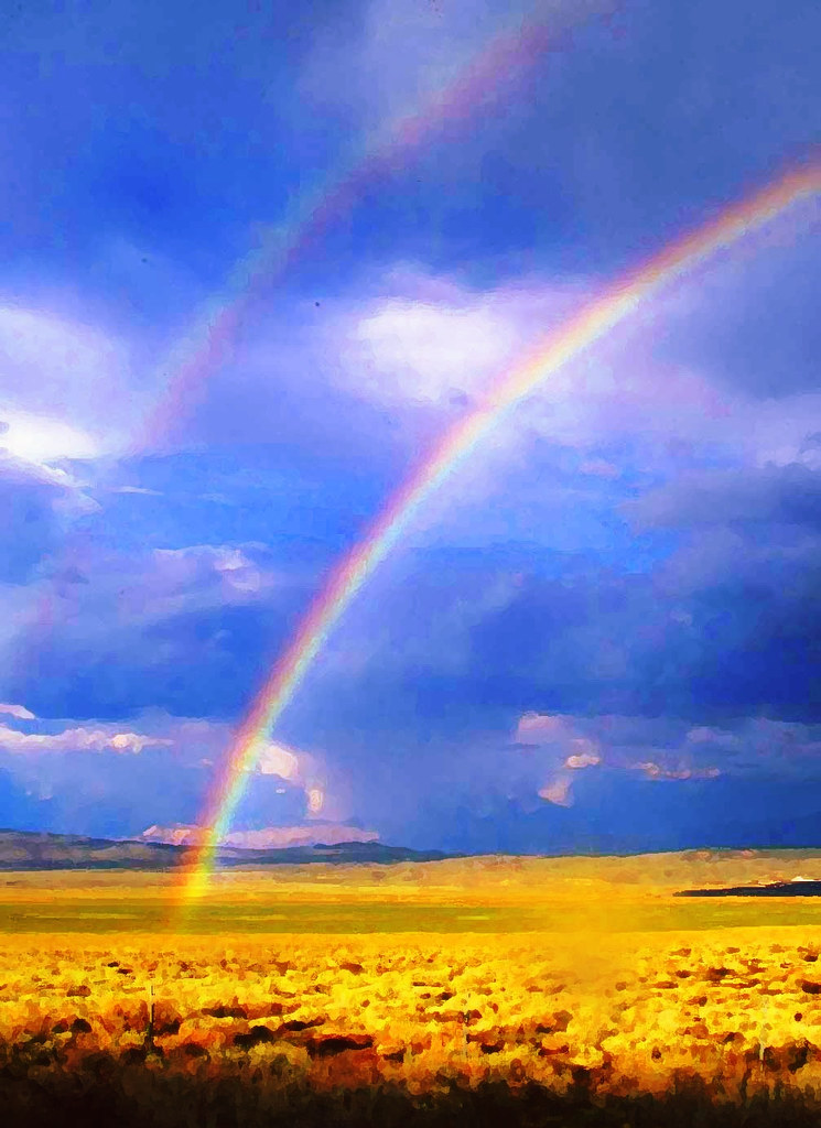 Beyond Traditional Rainbows - Rare Phenomena (image credits: flickr)