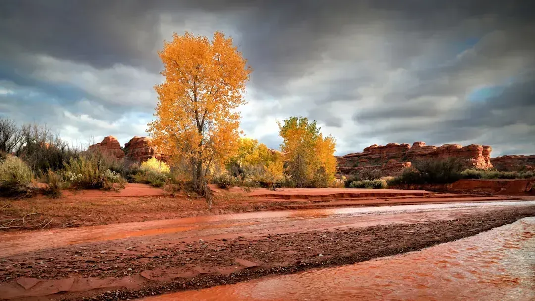 A drought unlike the ones before it (Image Credits: Unsplash)
