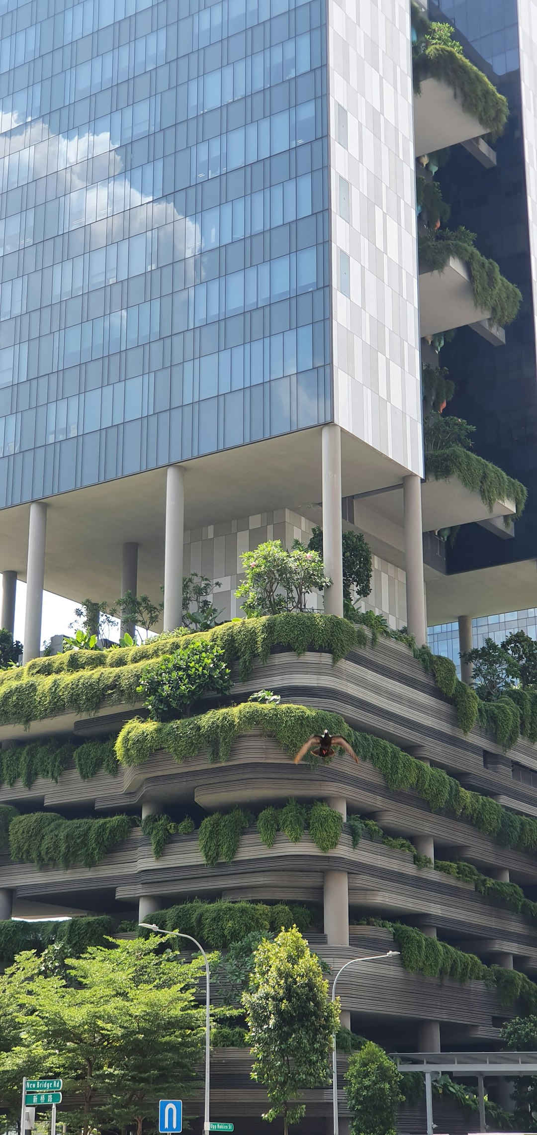 Innovation Hubs Emerging from Urban Laboratories (image credits: unsplash)
