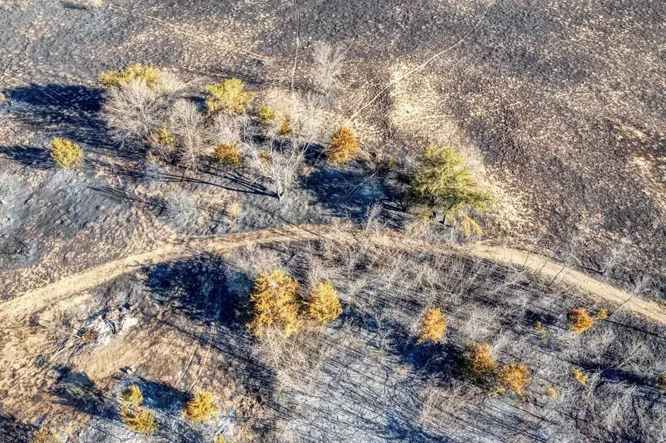 A state built on water, running dry (Image Credits: Pexels)