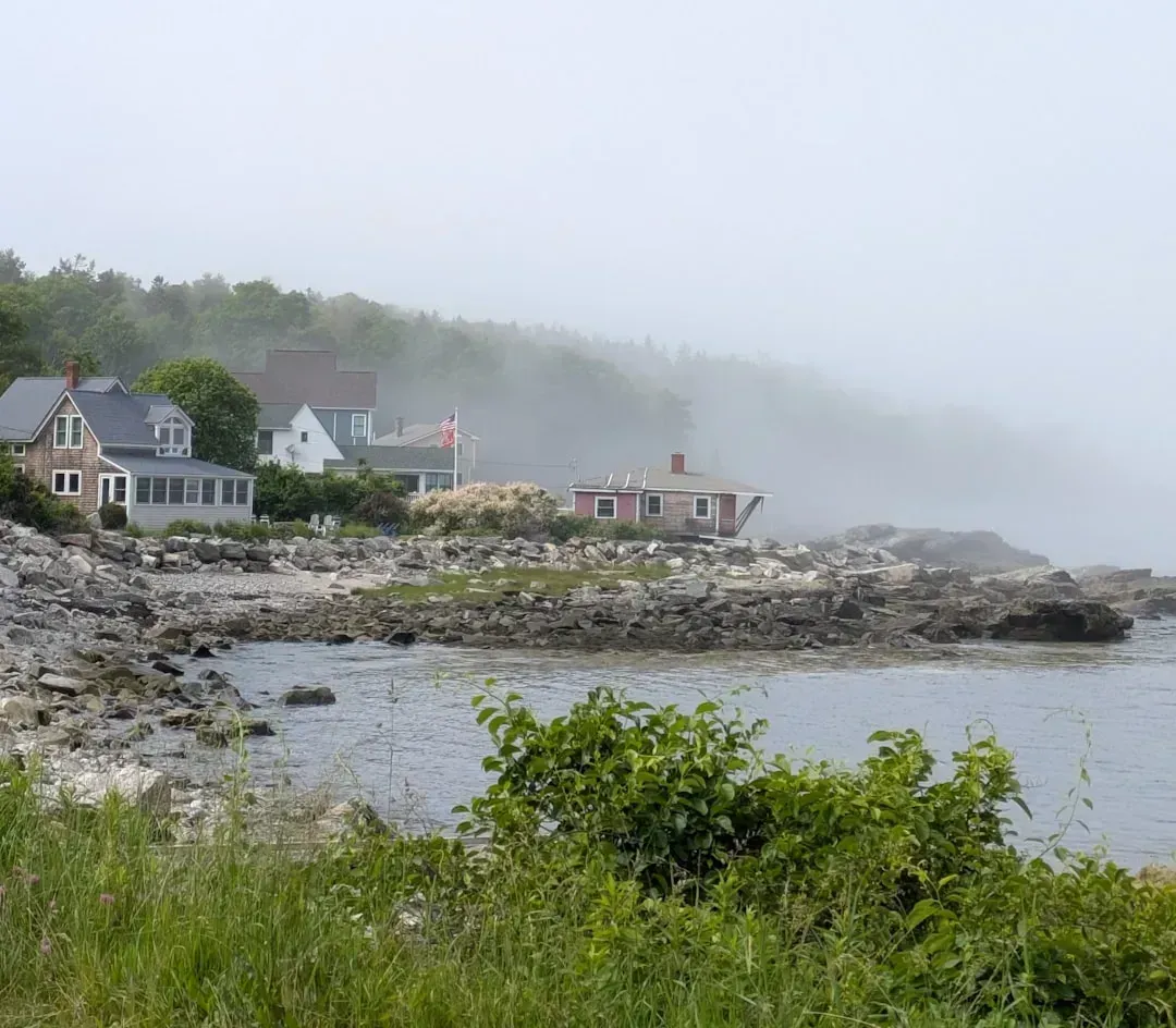 Tides, currents and the physics that keep the fog coming (Image Credits: Unsplash)