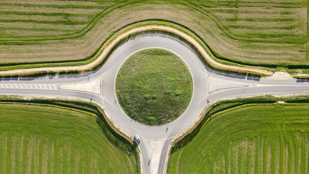 Nature's New Solutions (image credits: unsplash)
