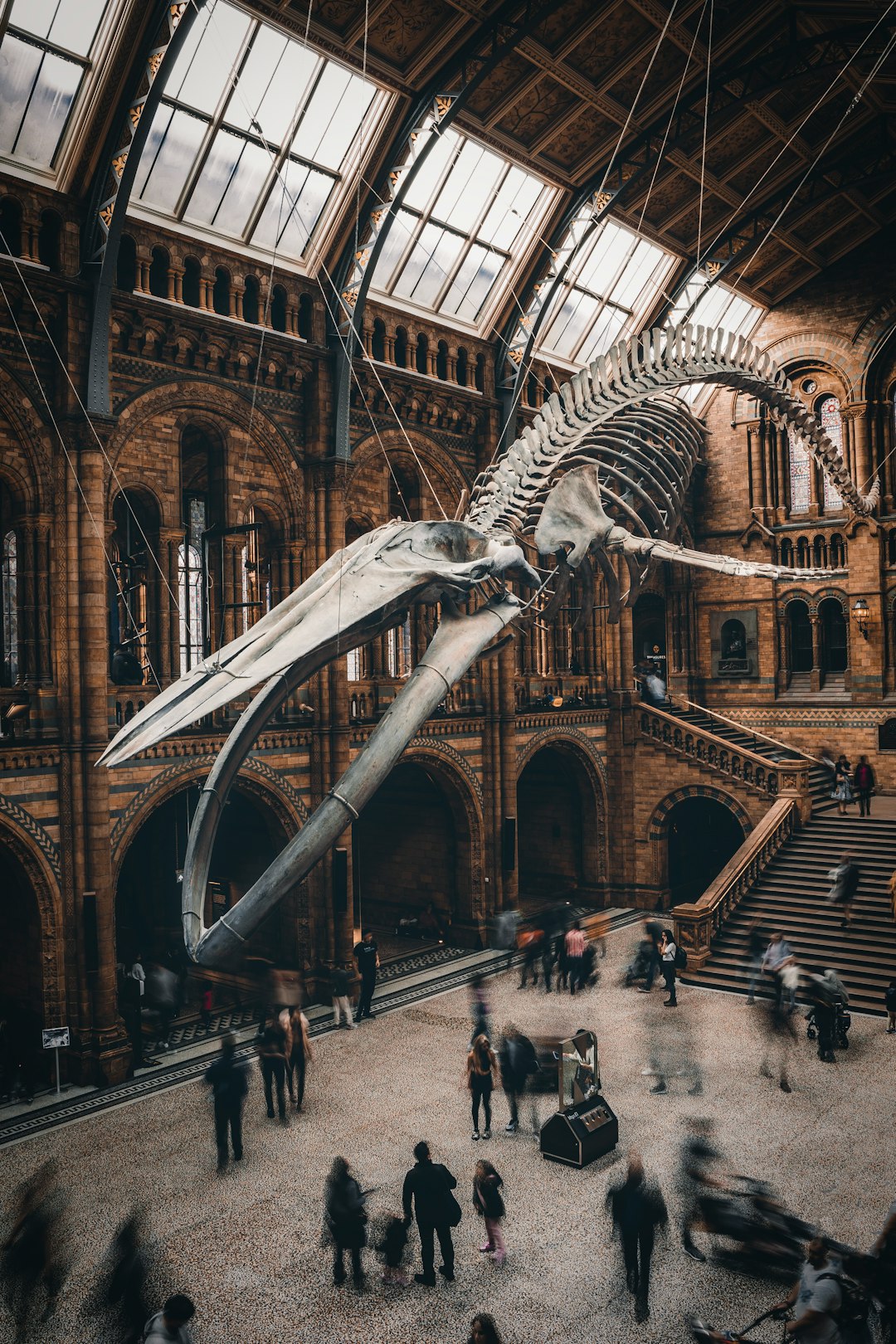 Meet the Real-Life Pokemon Whale (image credits: unsplash)
