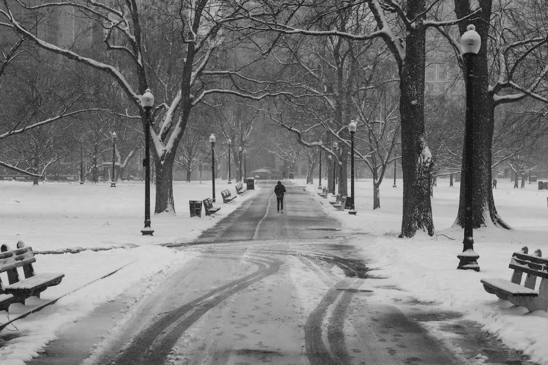 5. The Blizzard of 1978 (Northeast) (Image Credits: Unsplash)