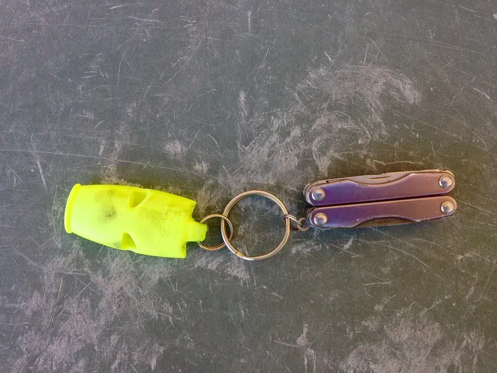 15. Whistle or signaling device (Judith E. Bell, Flickr, CC BY-SA 2.0)