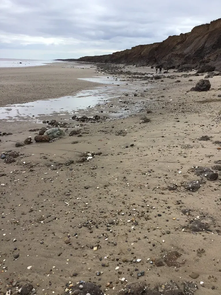 Beach Erosion Along the Shore (malivsey, Flickr, CC BY-SA 2.0)