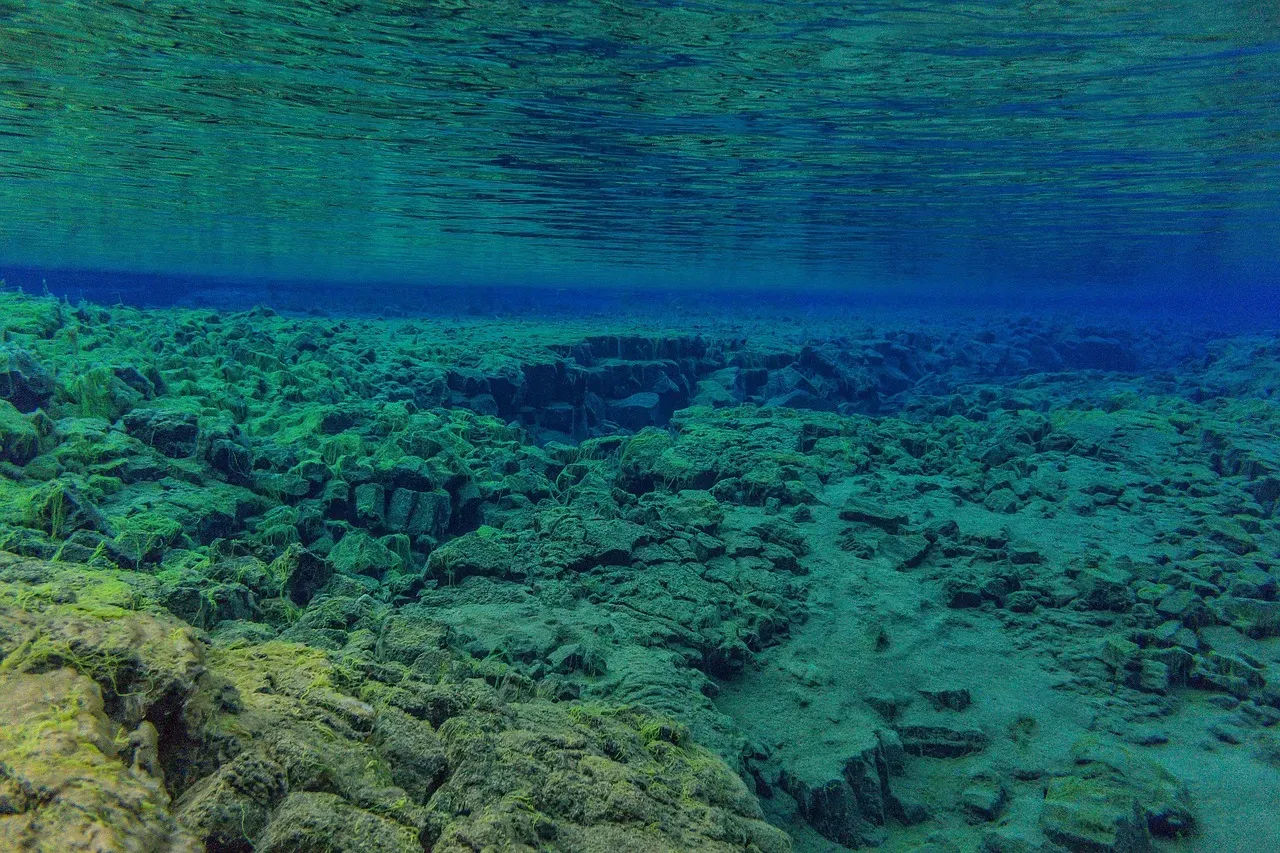 From about 5 to 12 meters: the water got oddly clear (Image Credits: Pixabay)
