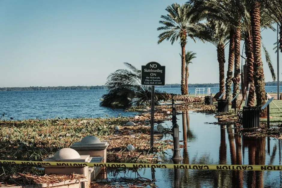 Florida's urban downpour dilemma (Image Credits: Pexels)