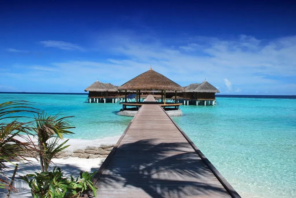 3. The Maldives - Paradise on a Countdown Timer (Image Credits: Rawpixel)