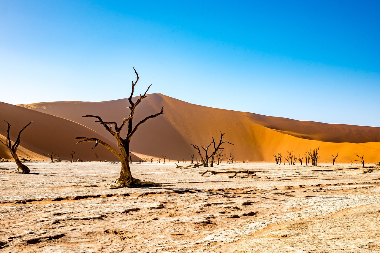 Drought and Extreme Heat (image credits: pixabay)