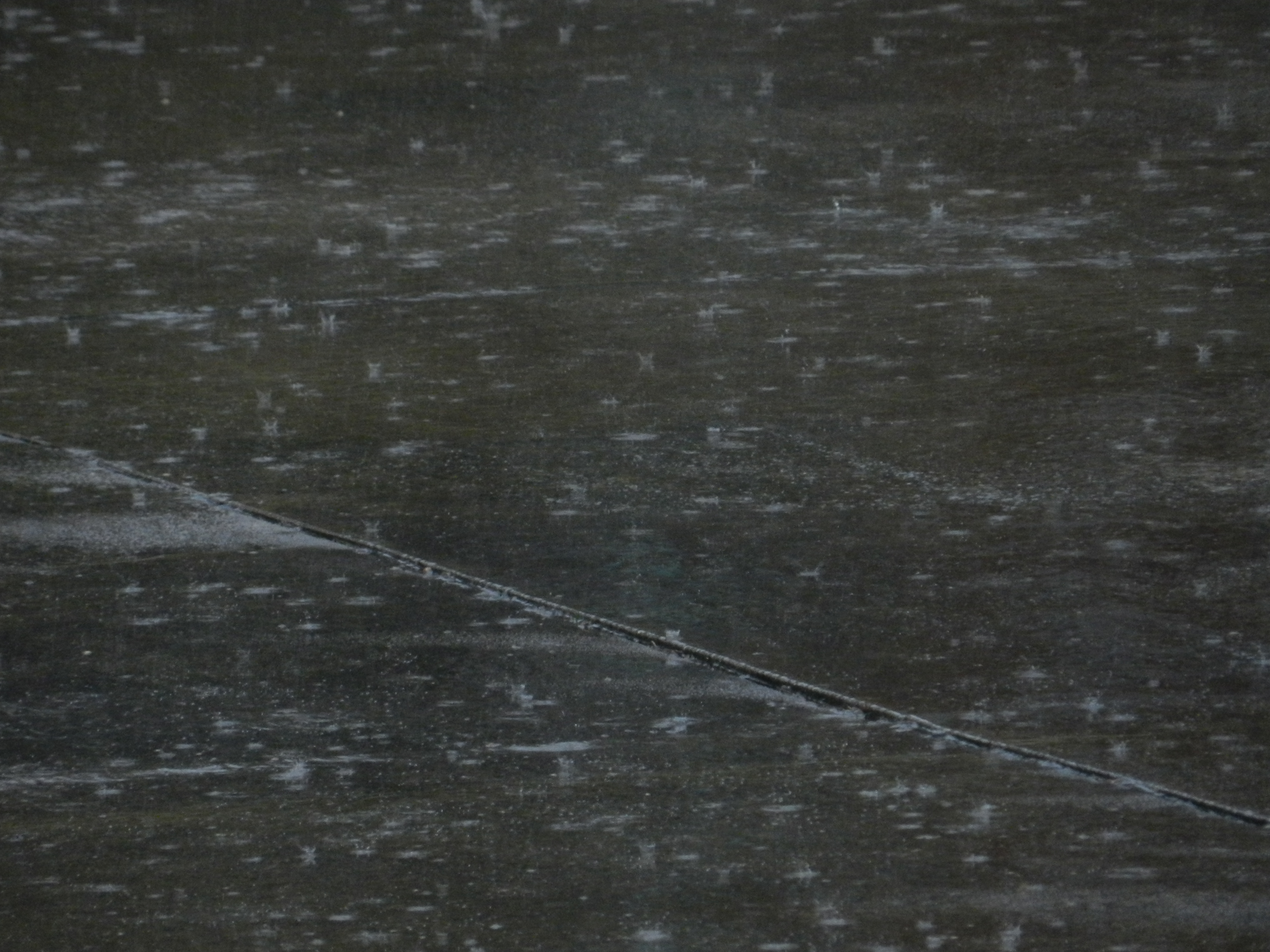 North Carolina - The Tar Heel State's Diverse Downpours (image credits: wikimedia)