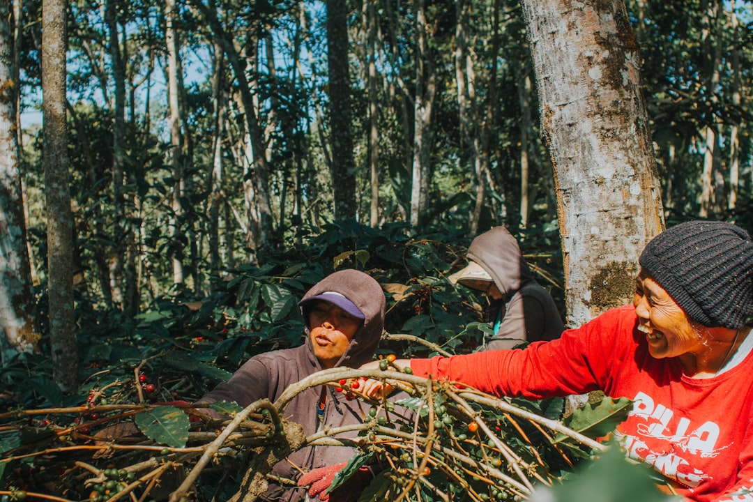 Small Farmers on the Front Line (image credits: unsplash)